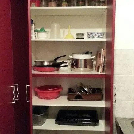 Tropicana - Spacious On Great Location * Novi Sad