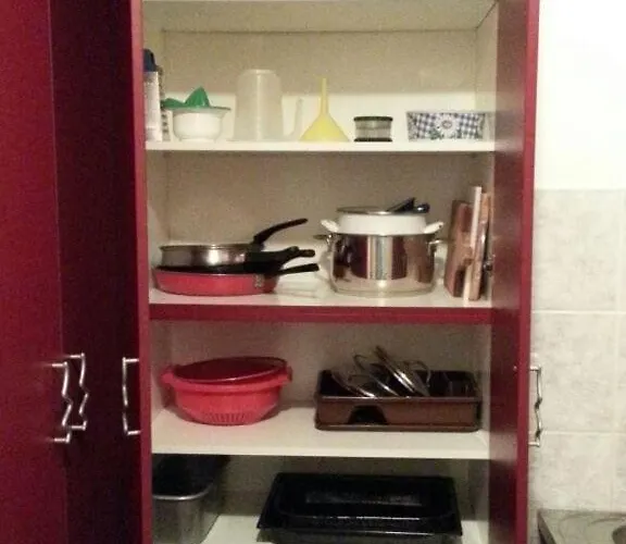 Tropicana - Spacious On Great Location * Novi Sad